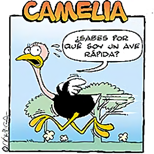 Camelia: Un ave rápida.